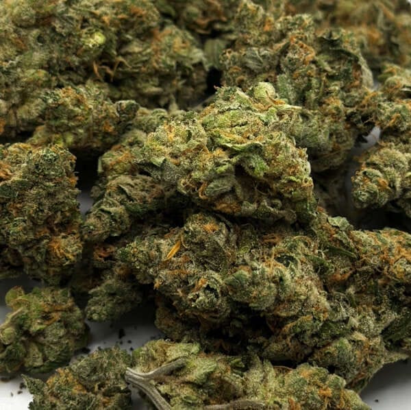 UK Cheese (AA+)