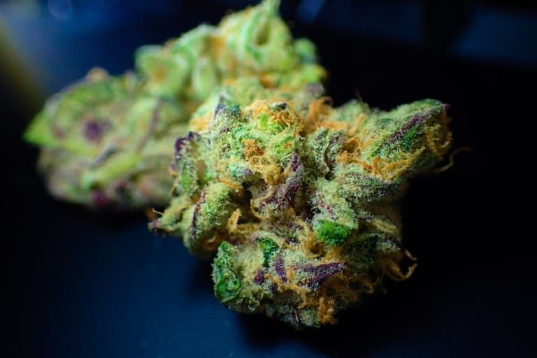 Our Top 5 Cheap Sativa Strains – Buy Cheap Weed Online