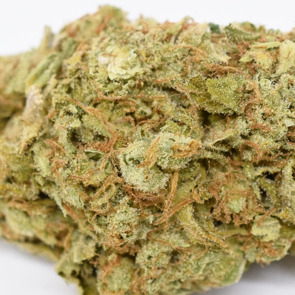 Sour Tangie 3 Sour Tangie - Image 3