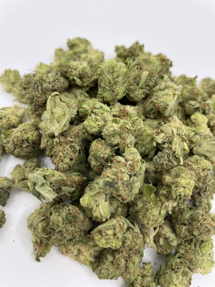 Pink Bubba (smalls) AAA+ 2 Pink Bubba (smalls) AAA+ - Image 2