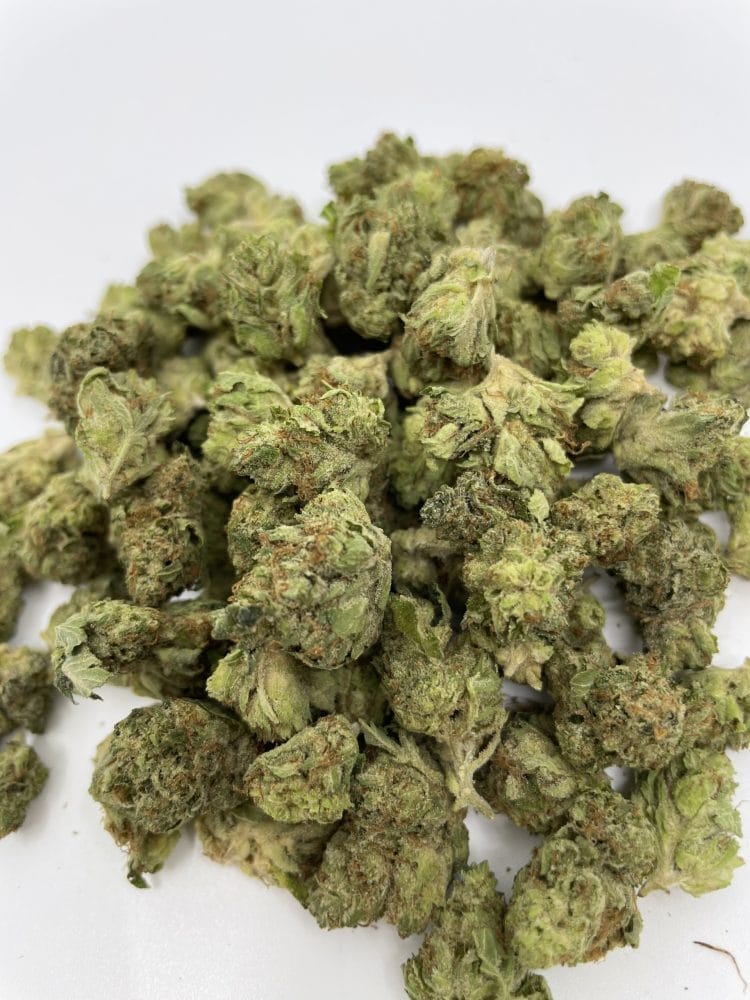 Pink Bubba (smalls) AAA+ 1 Pink Bubba (smalls) AAA+