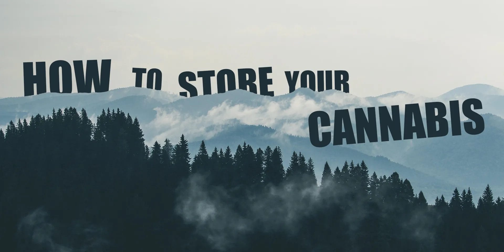 How To Properly Store Cannabis & Keep it Fresh!