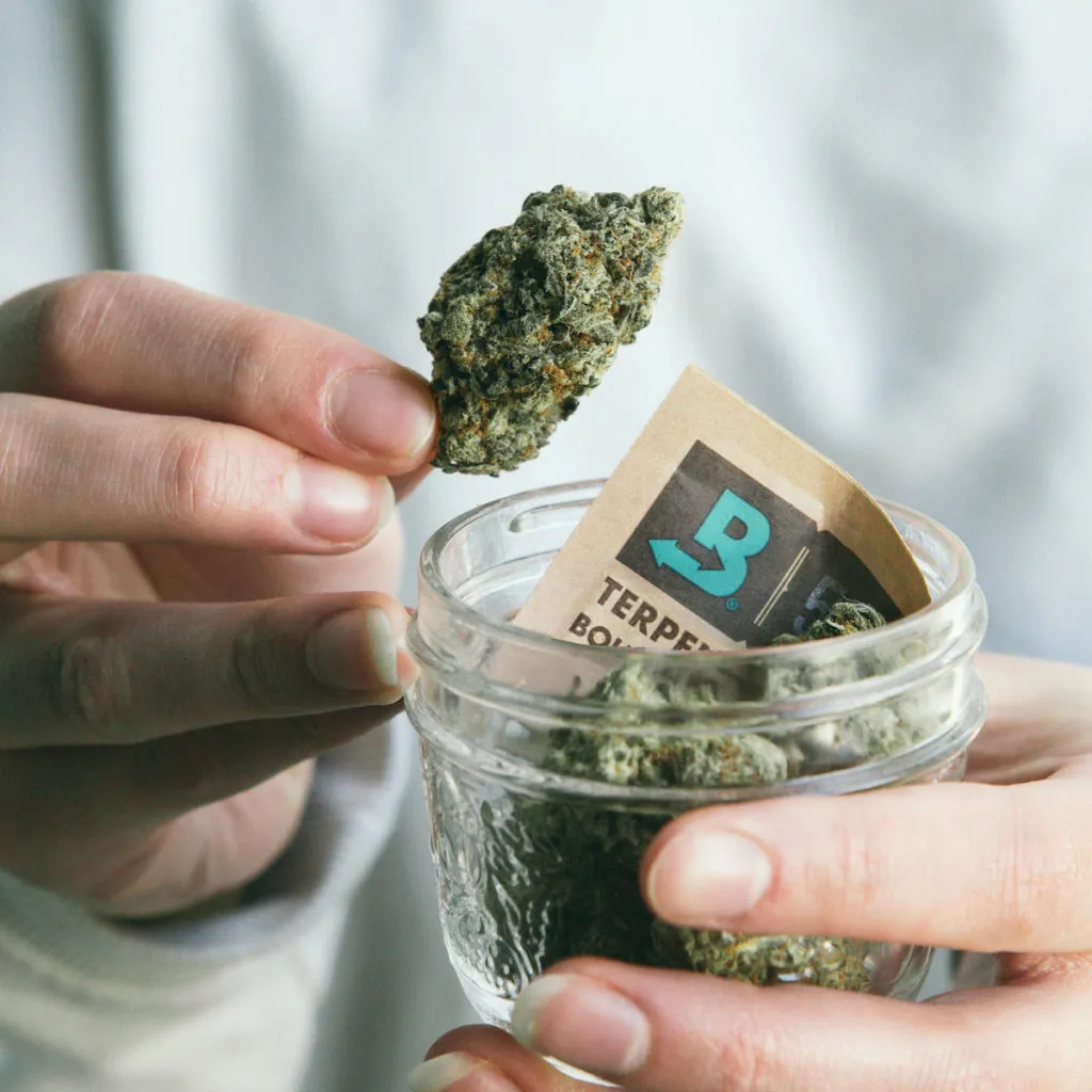 How To Properly Store Cannabis & Keep it Fresh! 3 Humidity Packs