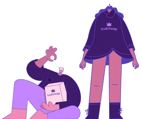 BudCheap Hero image
