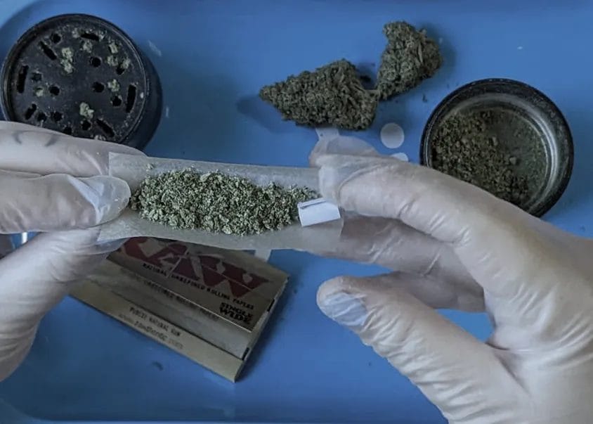 04 place weed and filter in rolling paper