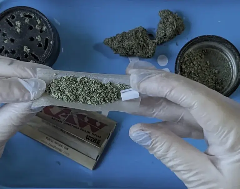 How to Roll a Joint 5 04 place weed and filter in rolling paper