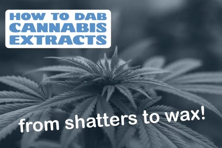 How to Dab Cannabis Extracts (from Shatters to Wax)