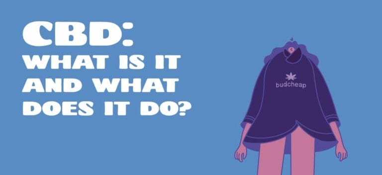 CBD: What Is It and What Does It Do?