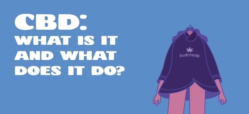 What is CBD Title Image