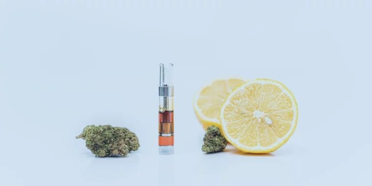 Everything To Know About Terpenes