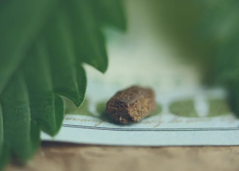 Exploring The Depths of Hashish: Why It’s All About the THC Content