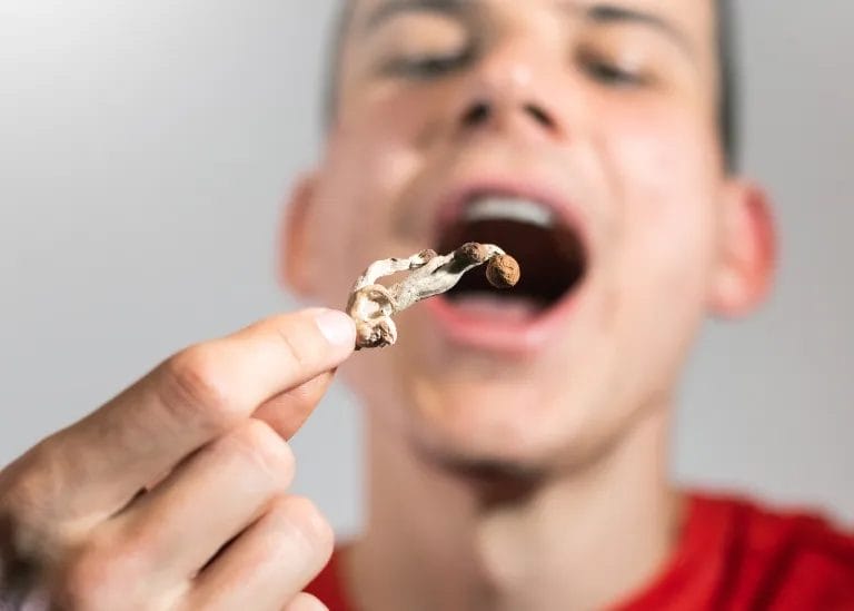 Are Magic Mushrooms Addictive