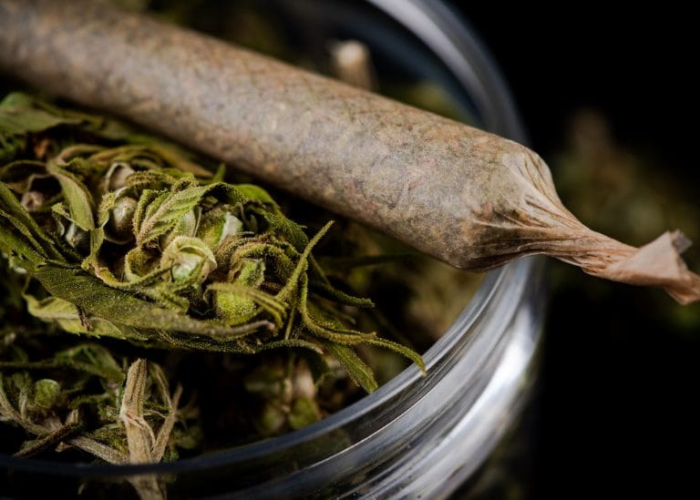 weed bud and a rolled joint