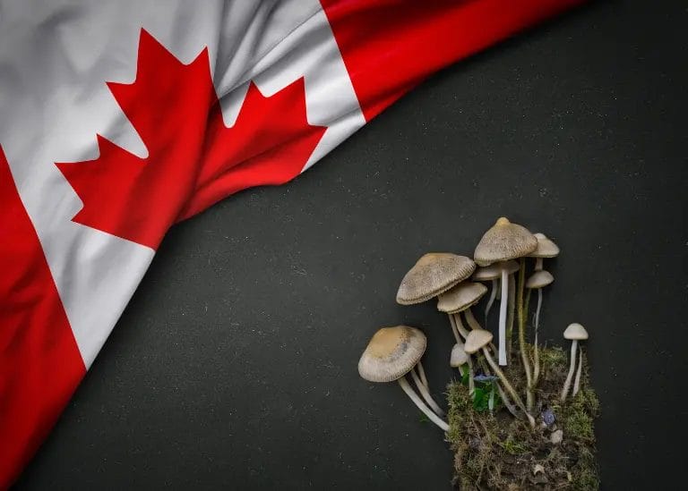 Are Magic Mushrooms Illegal