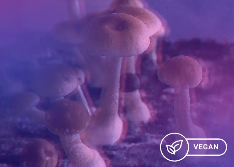 Are Magic Mushrooms Vegan