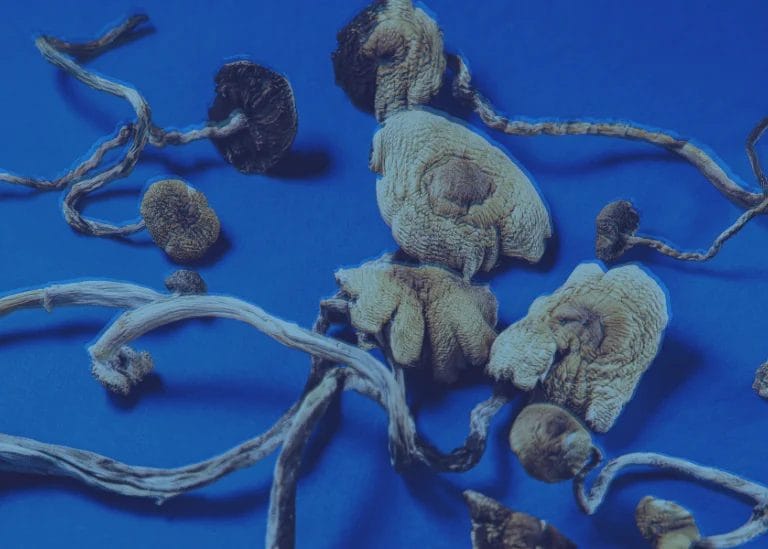 Do Magic Mushrooms Expire