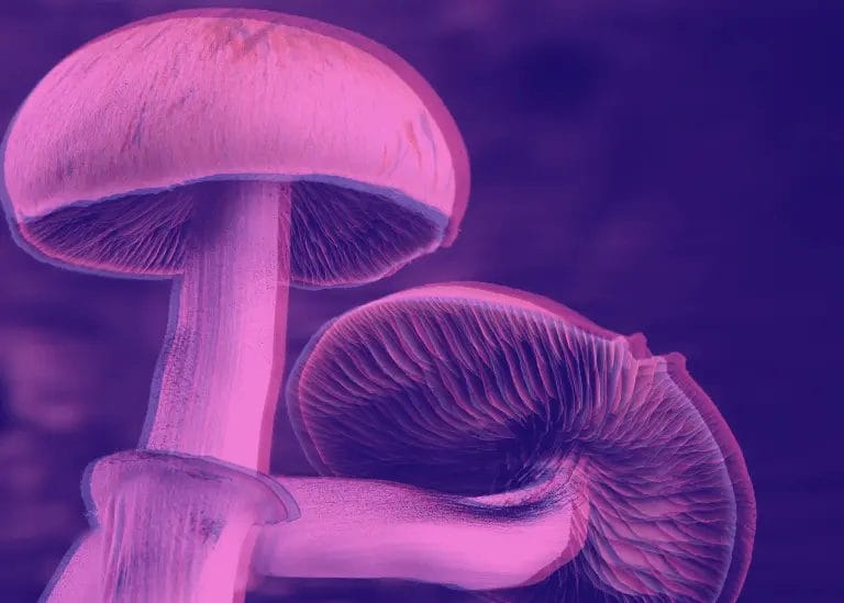 How Long Do Magic Mushrooms Stay in Your System?