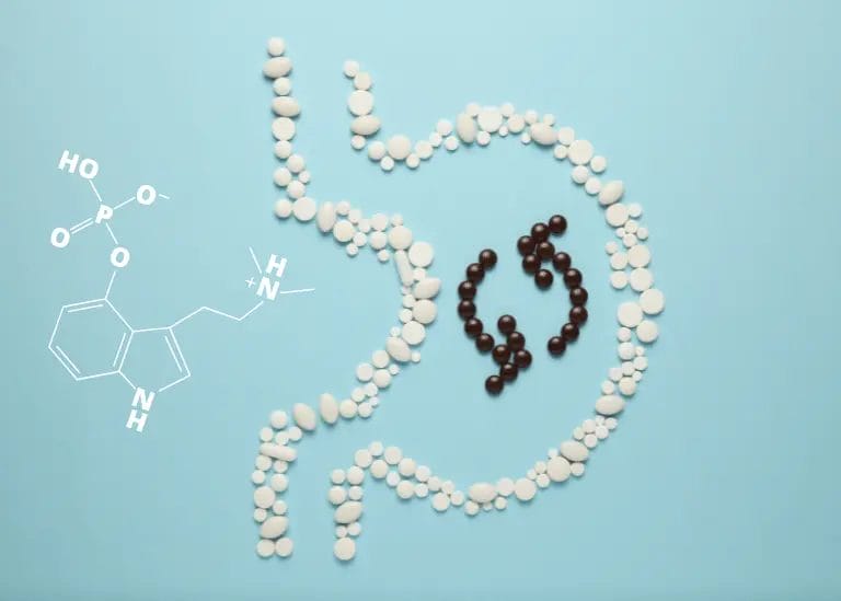 magic mushrooms affect your metabolism