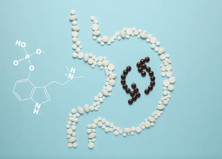 How Long Do Magic Mushrooms Stay in Your System? 6 magic mushrooms affect your metabolism