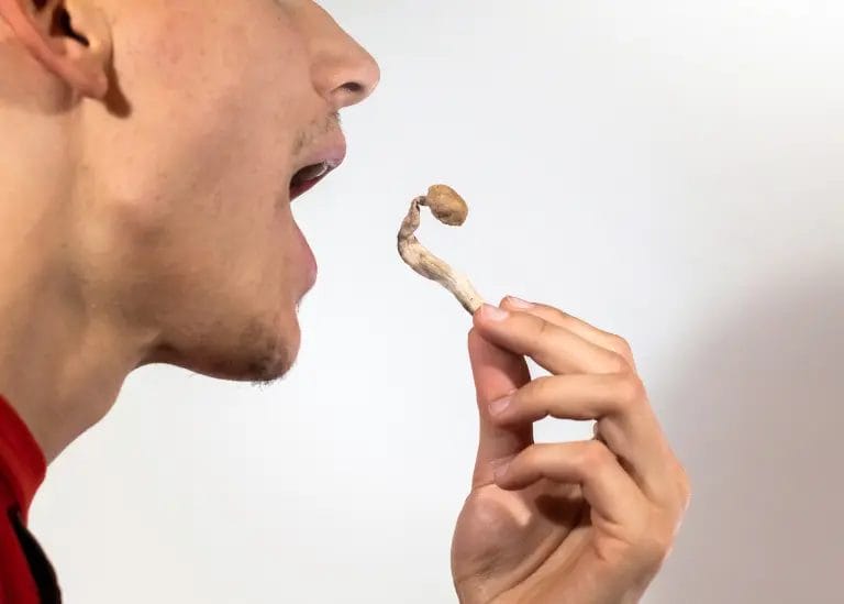 Do Magic Mushrooms Have Calories 2 magic mushrooms