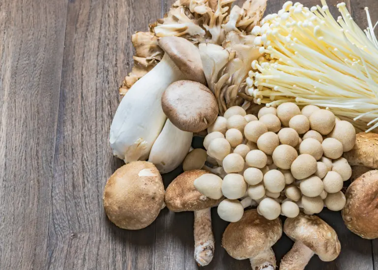 Do Magic Mushrooms Have Calories 6 regular mushrooms
