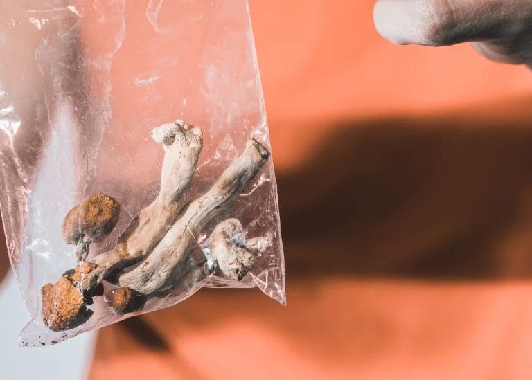 shrooms in zip lock bag