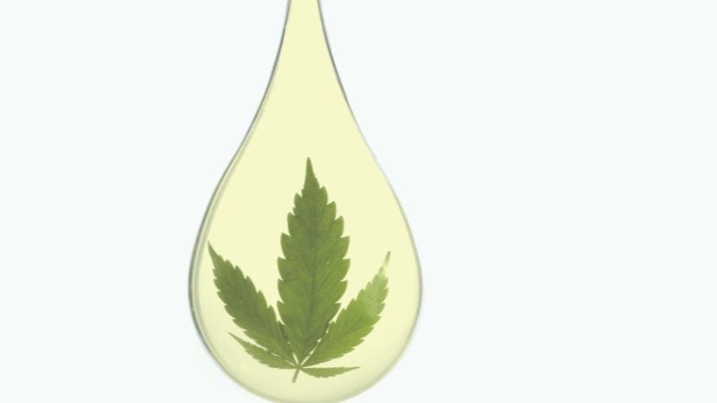 Can CBD Gummies Cause Anxiety