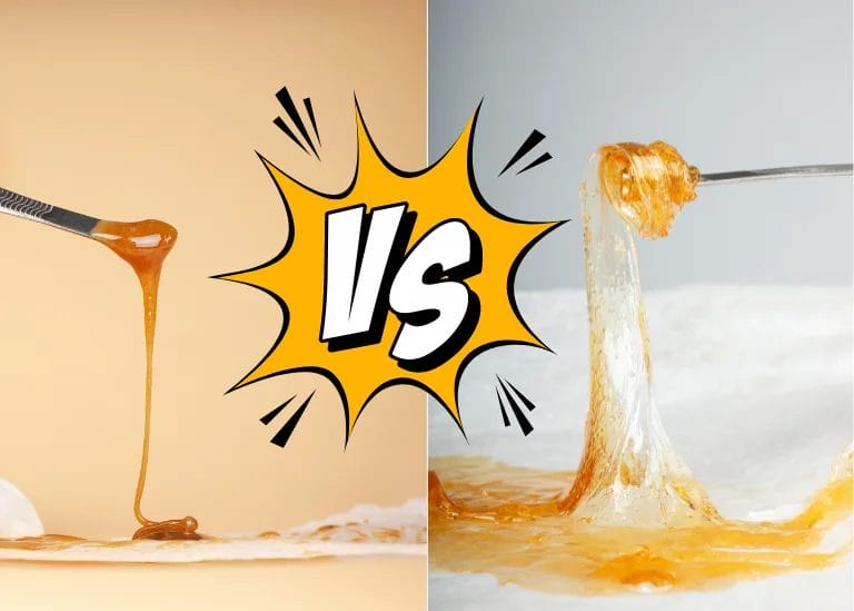 Live Resin vs Rosin – What’s the Difference?