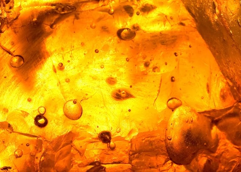 What is Live Resin and How To Use It