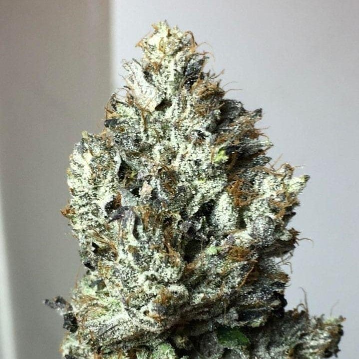 Death Bubba