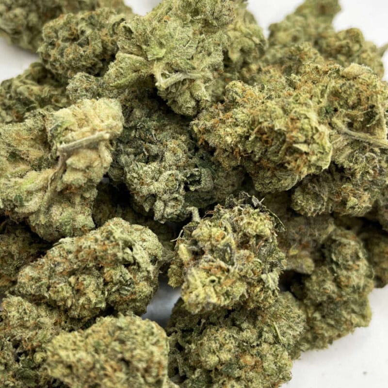 Animal Cookies (AAAA-)