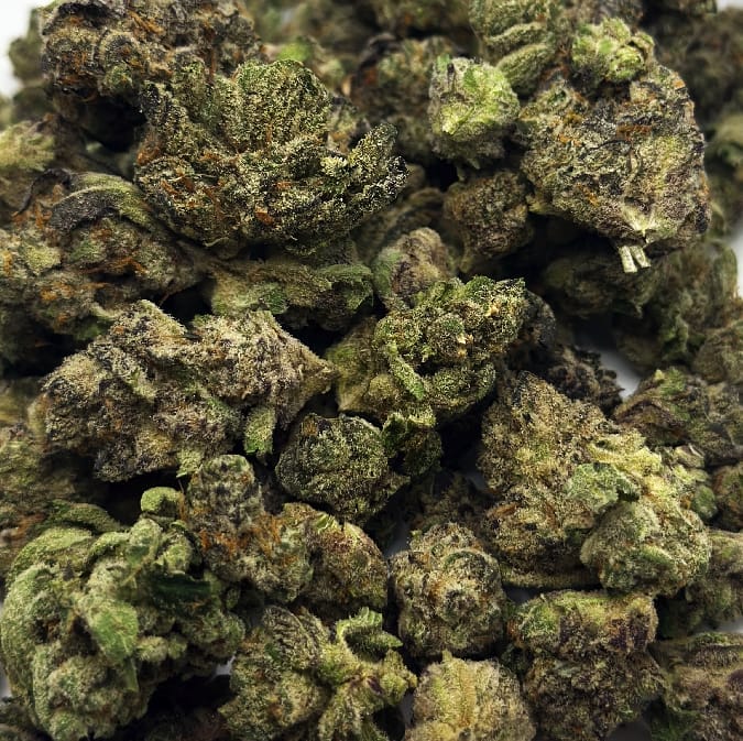 Introducing Grape Stank, a remarkable indica dominant strain created by crossing Gasoline and Garlic Grove. This unique blend results in a truly extraordinary cannabis experience. Prepare to be captivated by its potent, skunky aroma and the rich, flavorful taste of grapes that lingers on your palate. Grape Stank is celebrated for its ability to induce a heavy body high that gradually creeps up on you. As you indulge in this strain, you'll feel a sense of relaxation wash over you, easing tension and promoting a tranquil state of mind. Its soothing effects make Grape Stank an excellent choice for those seeking relief from pain and anxiety.