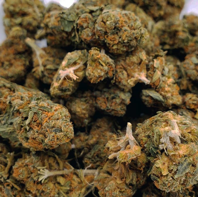 Rock Bud (AA+)