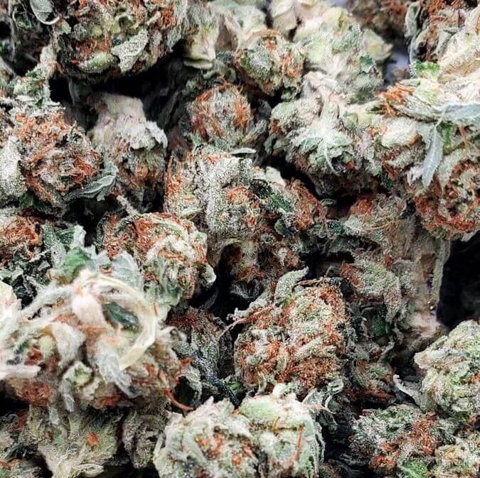 Alien OG (AAA+)