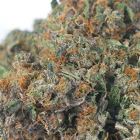 Death Bubba 2 2 Death Bubba 2 - Image 2