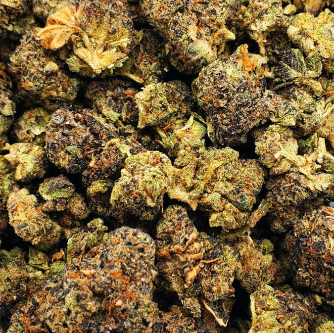 Peanut Butter Mac is a hybrid cannabis strain notable for its lack of specific lineage details, including its parent strains and sativa/indica ratio. Despite this, it is recognized for its enjoyable flavors and potential effects. The strain typically has a THC content ranging from 20% to 25%, classifying it as potent and more suitable for experienced users. Its effects are often described as relaxing, euphoric, and creative, enhancing mood and fostering calm and inspiration. It's commonly used by medical marijuana patients to manage symptoms related to chronic pain, depression, and appetite loss, providing both physical comfort and mental well-being. The flavor profile of Peanut Butter Mac includes nutty, sweet, and earthy notes, likely due to a blend of dominant terpenes. This strain's potent effects and pleasant taste make it popular among cannabis enthusiasts.