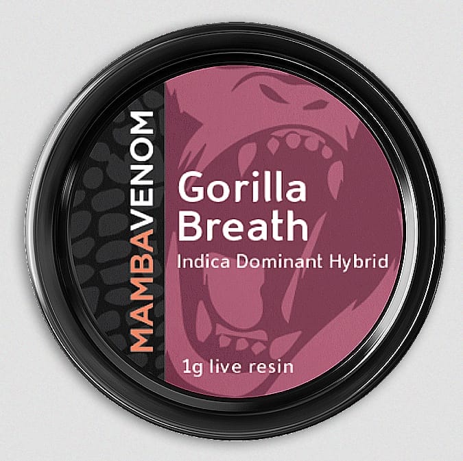 Bred by Humboldt Seed Organization, Gorilla Breath crosses Original Glue with OGKB to get a hybrid with a high resin production and a strong OG aroma. With a delicious flavor profile including notes of pine, fuel, chocolate, and diesel, you’ll surely want to try this strain.