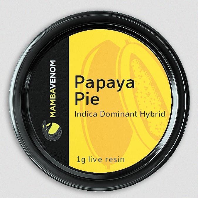 Papaya Pie is an indica-dominant hybrid cannabis strain that is known for producing a mental calmness, though many consumers also find that this strain makes them energetic and productive. Nirvana Seeds bred this to be their take on a Mango strain and crossed Citral #13 with Ice #2 to make their own fruit. They met their own challenge and Papaya smells uncannily like its namesake. The taste is similar to its tropical fruit counterpart, but a spicy, peppery side also becomes apparent. The plants stay fairly short and thin, producing lots of fluffy buds with papaya-orange hairs in 8 or 9 weeks.