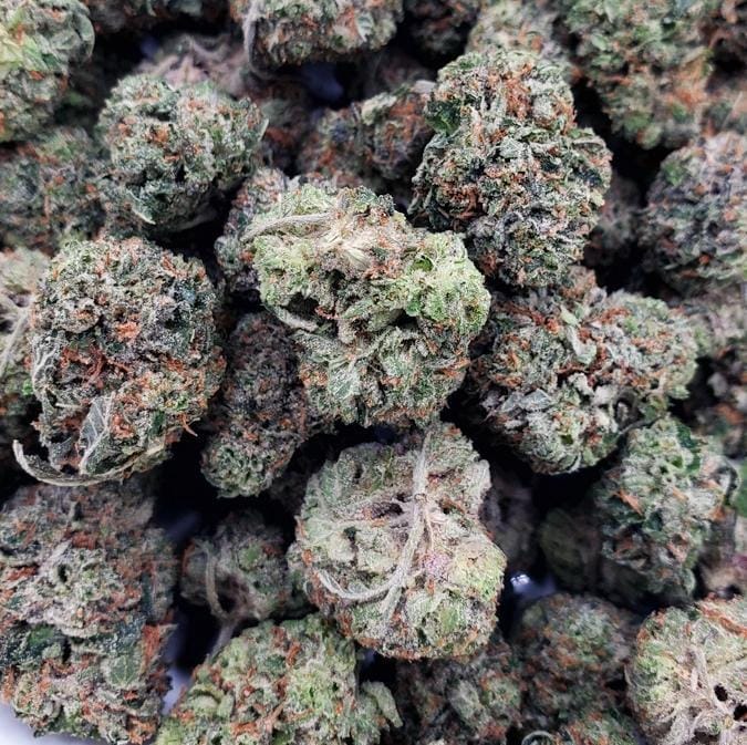 Biker's Pink (Smalls) (AAAA+)