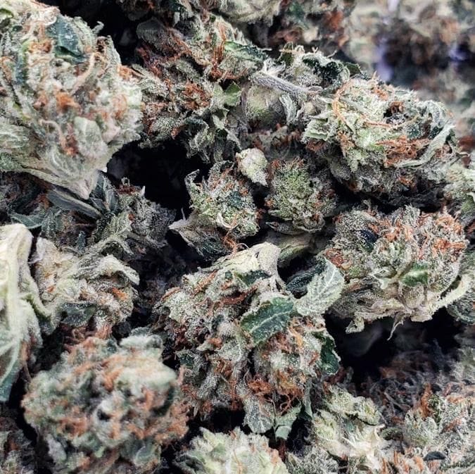 Rockstar (AAA+) **Smalls**
