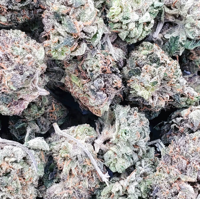Blue Zushi (AAAA+)