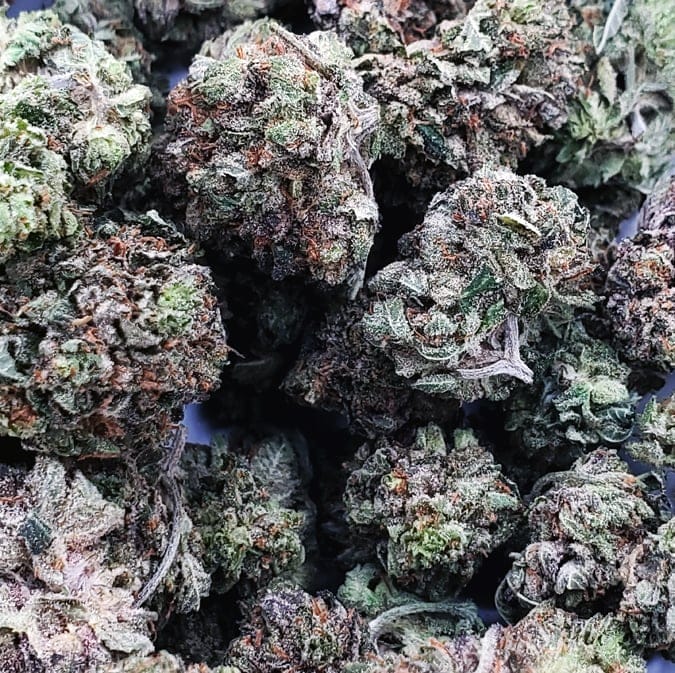 Pink Kush (AAA+)