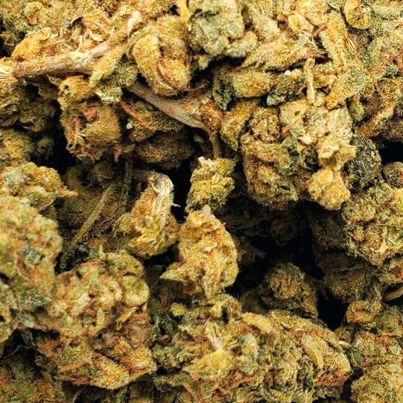 Apricot Kush (AAA)