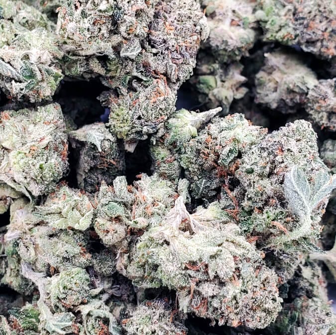 Gas Town Pink (AAA+) 1 Gas Town Pink (AAA+)