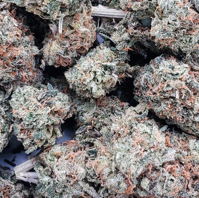 Jet Fuel x Gelato (AAA+)