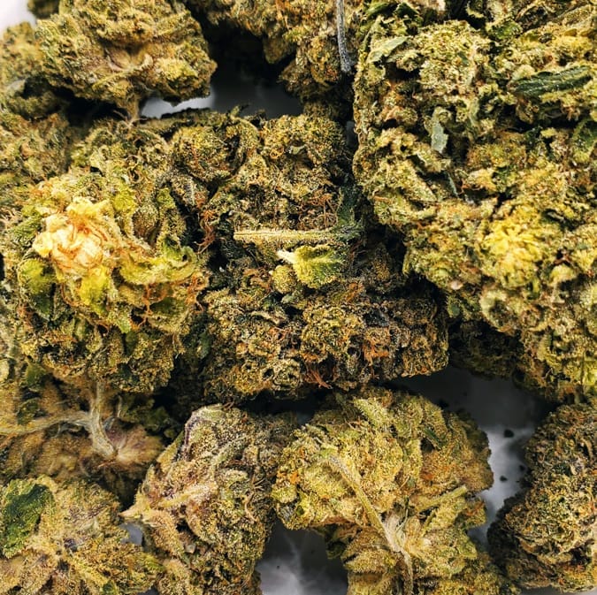 MK Ultra Black Ops (AAAA+)