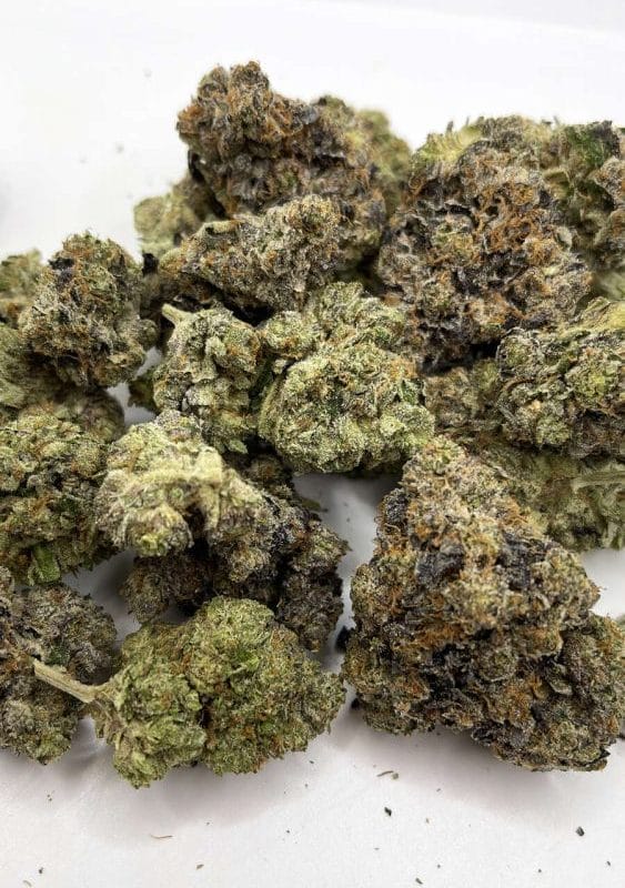 Space Jam OG (AAAA+)