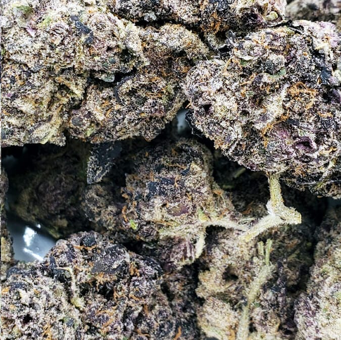 Purple Barry Bonds (AAAA-) 1 Purple Barry Bonds (AAAA-)