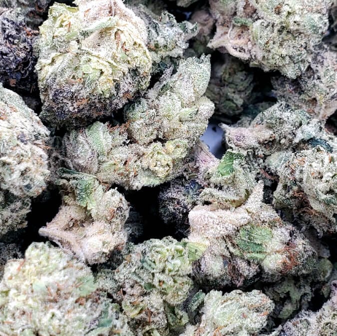 Purple Mimosa (AAA+) 1 Purple Mimosa (AAA+)