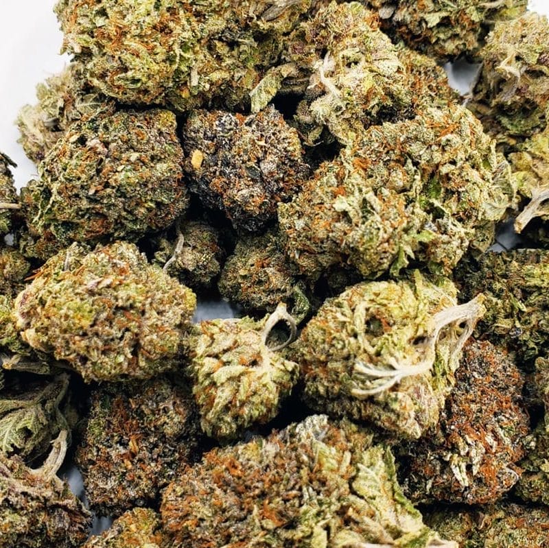 Greasy Pink (AAAA+)